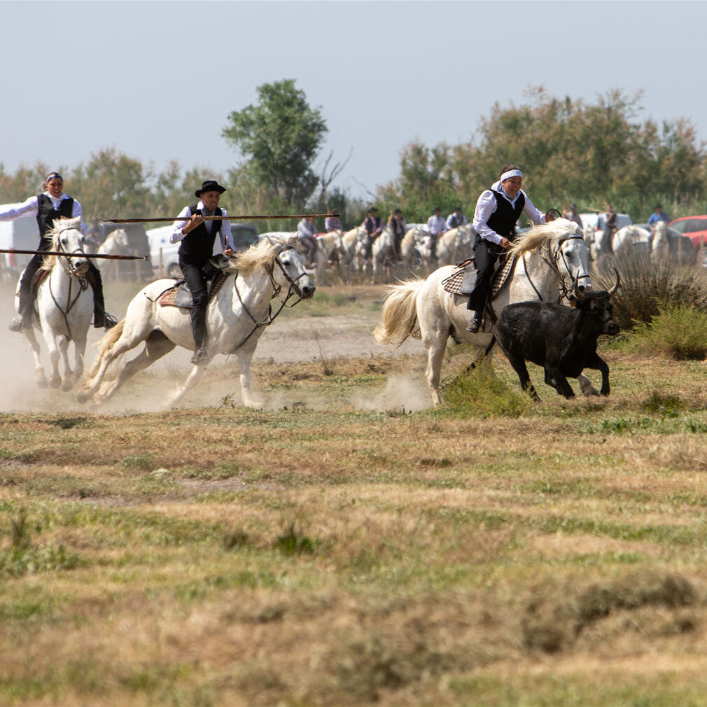 Course de satin